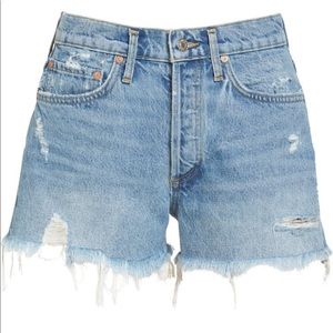 Agolde Parker jean cutoff shorts in swampmeet (color)